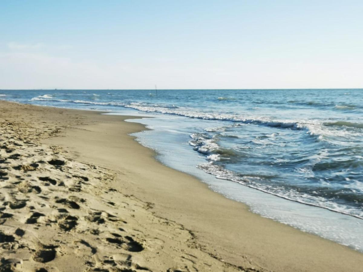 Appartamento In Villa A Tirrenia, Eleganza E Comfort A Pochi Passi Dal Mare Pisa Buitenkant foto